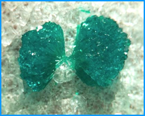 The copper silicate dioptase (5 mm across) from the Christmas mine in Arizona